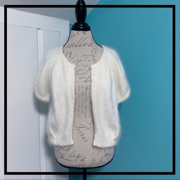 Ann TAYLOR LOFT Rabbit Hair Blend Crop Sweater - Picture 3 of 7